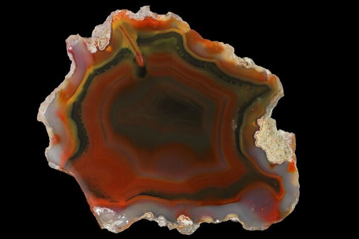 Colorful, Polished Condor Agate Slab - Argentina #141384